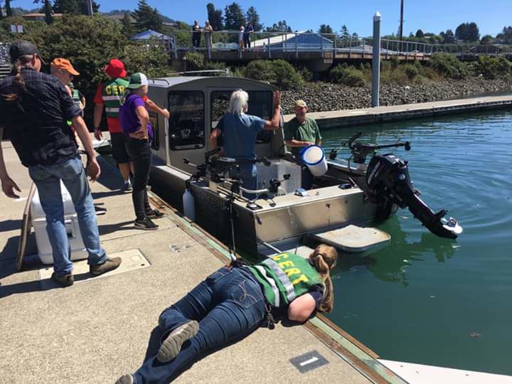 Sinking Boat